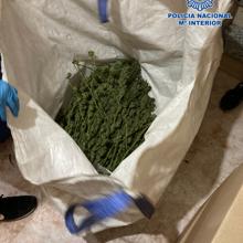 Saca con 5,7 kilogramos de marihuana