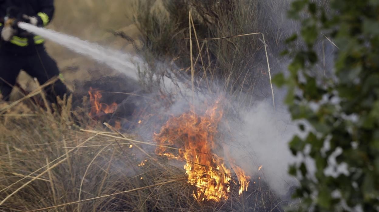 Investigan a un hombre por hasta seis incendios forestales en Oteruelo de la Valdoncina (León)