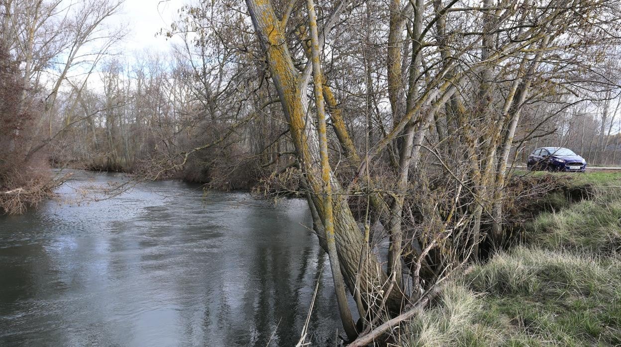 El río Carrión a su paso por Husillos (Palencia), donde apareció el cadáver del bebé en febrero de 2020