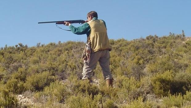 Tarazona «importa» cazadores para combatir la plaga de conejos que afecta a sus campos