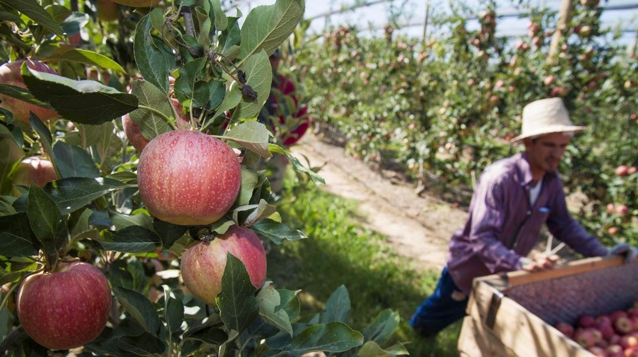 El hombre estaba comiendo un trozo de fruta cuando se atragantó