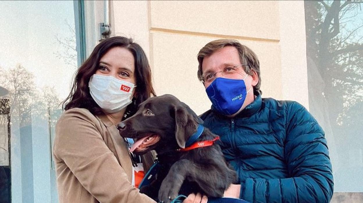 Isabel Díaz Ayuso y José Luis Martínez-Almeida junto a la mascota de la presidenta, ayer