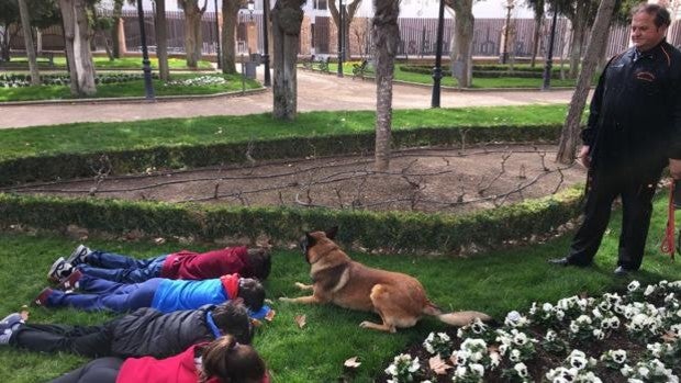 José Álvarez, condecorado por una vida dedicada a los demás: «Para ser voluntario de Protección Civil se nace»
