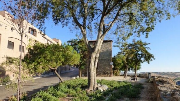 El ocaso del Pradito de la Caridad. Un cementerio diferente