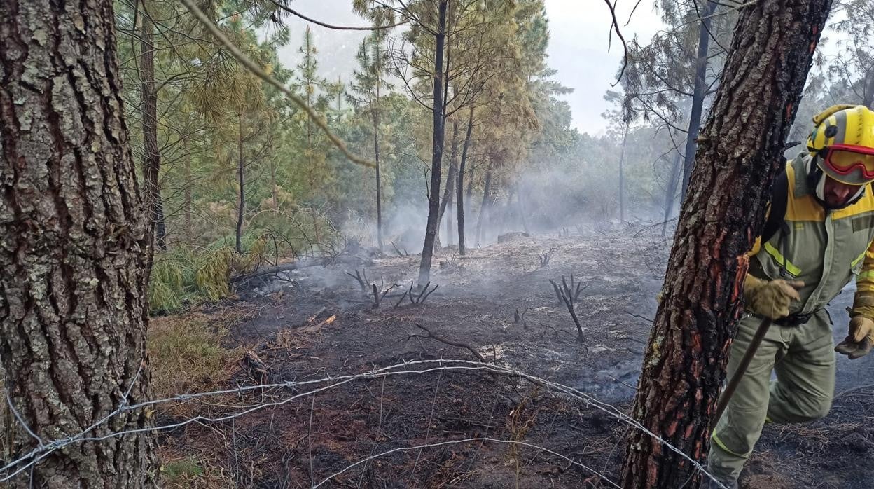 Actuación de los equipos de extinció en el incendio de Monforte