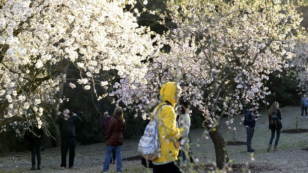 Reabren siete parques históricos tras la limpieza por Filomena