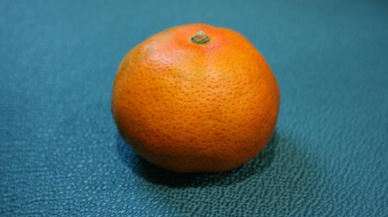 Una mandarina de una variedad afectada por una enfermedad, en imagen de archivo