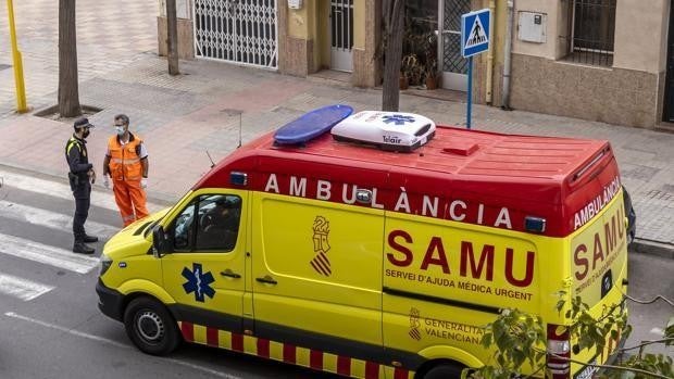 Detienen al dueño de un perro que mordió en la cara a una niña de cinco años en Valencia