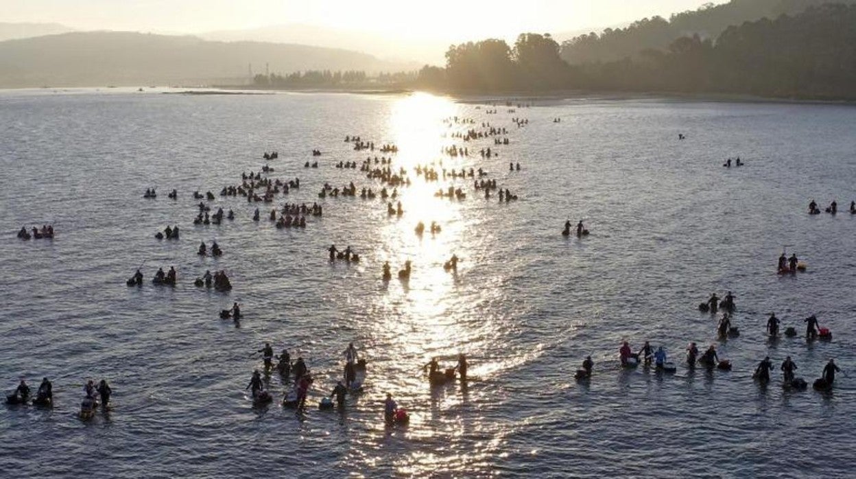 Mariscadoras en las rías gallegas