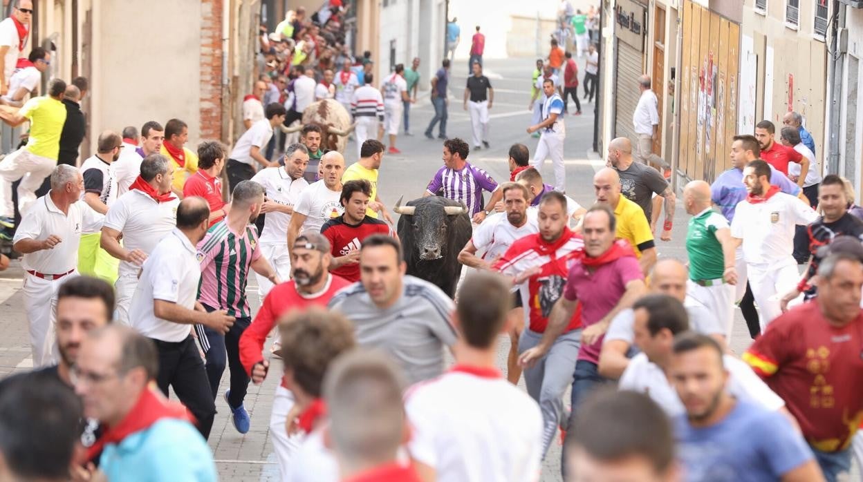 Encierros de Cuéllar en una imagen de archivo