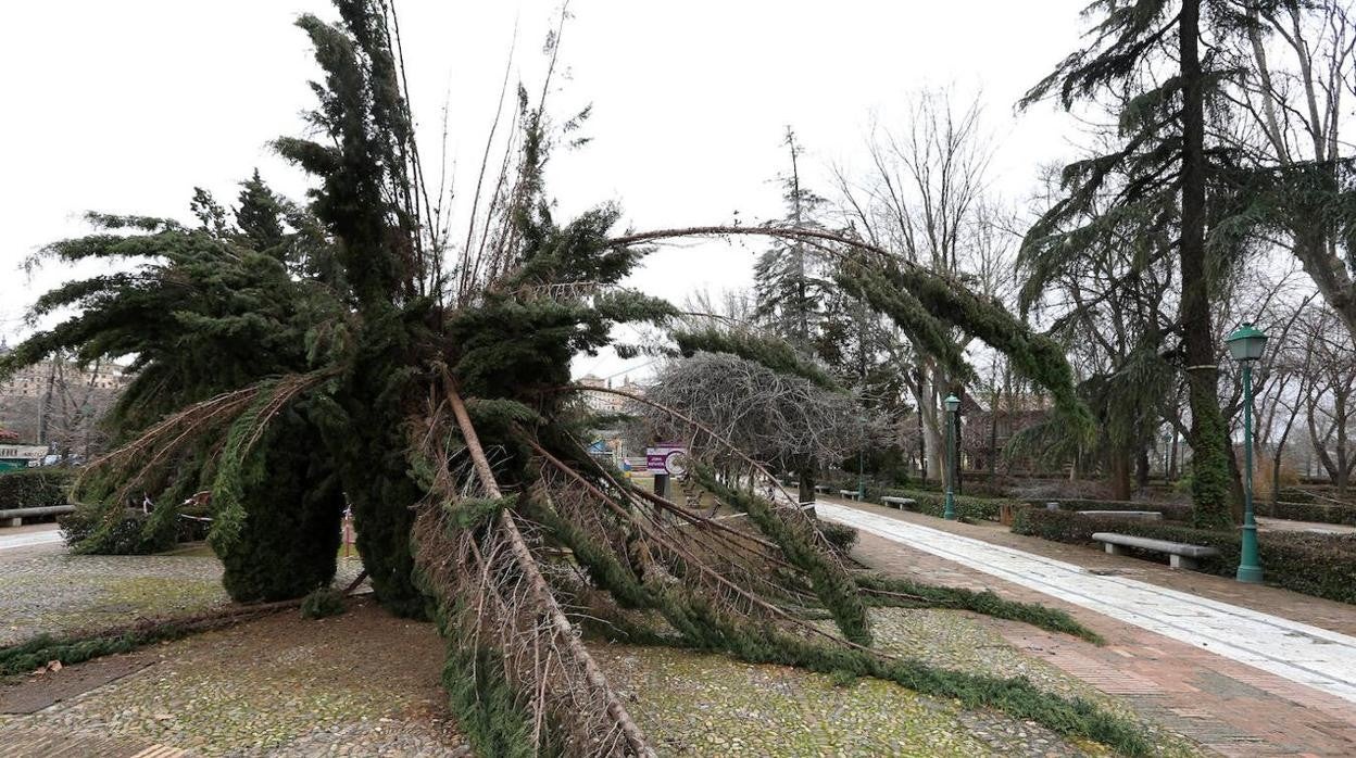 El temporal Filomena dañó de forma considerable el Paseo de la Vega, uno de los más populares de la ciudad