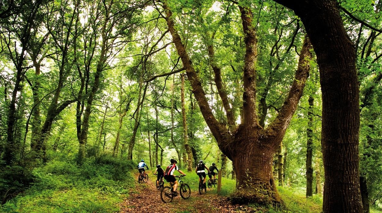 Actividades próximas a una casa de turismo rural