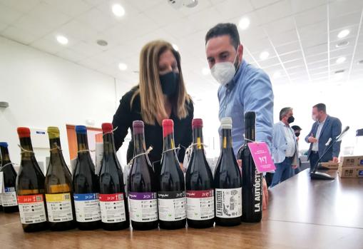 Presentada en Quintanar la segunda edición del vino solidario de Garagewine para Asprodiq