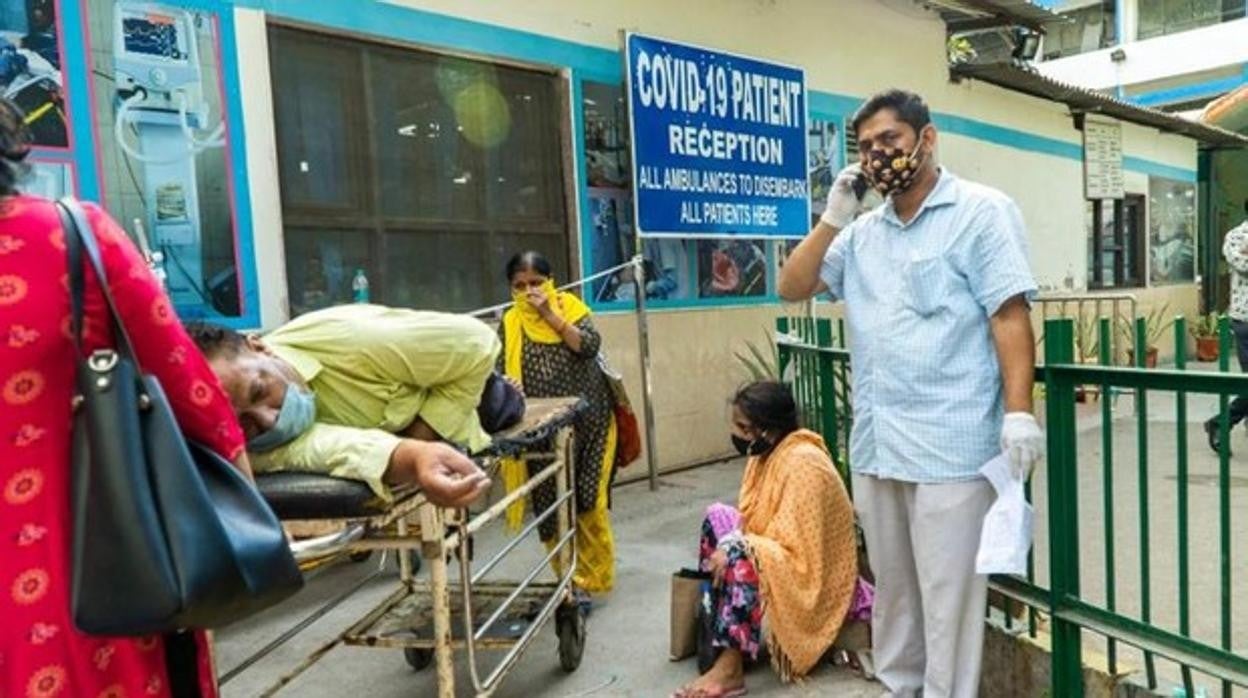 ¿Qué es el hongo negro de la India? Los médicos detectan en la India una infección mortal entre pacientes covid-19