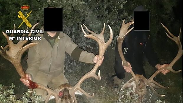 La Guardia Civil investiga a un grupo criminal que organizaba eventos de caza mayor en varias provincias