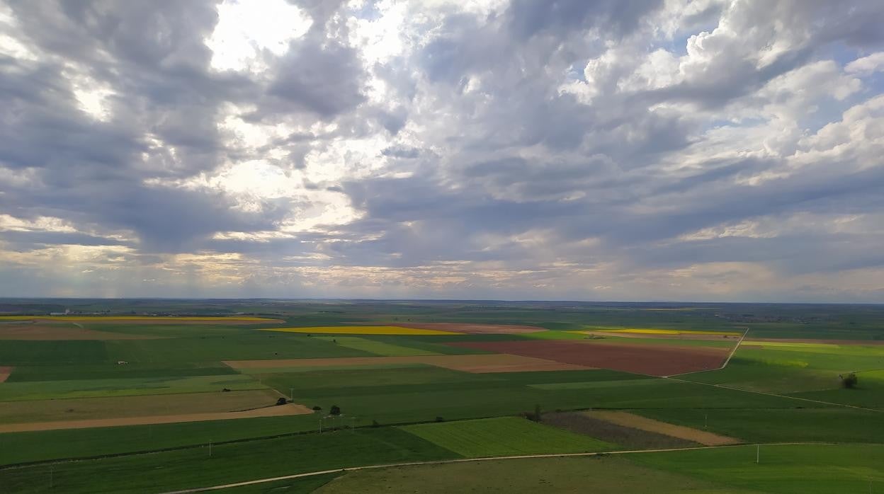 Campos de cultivo en la zona oeste de Valladolid