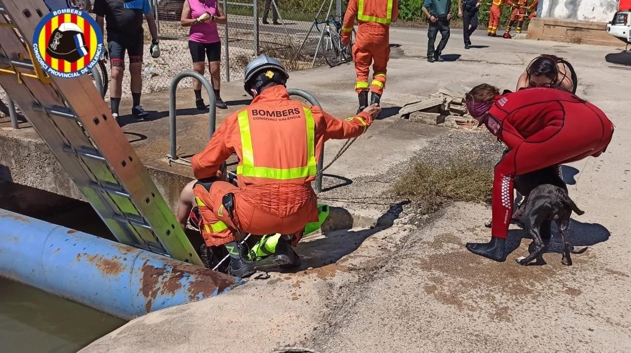 Un momento del rescate del hombre y su perro en la acequia de Riola