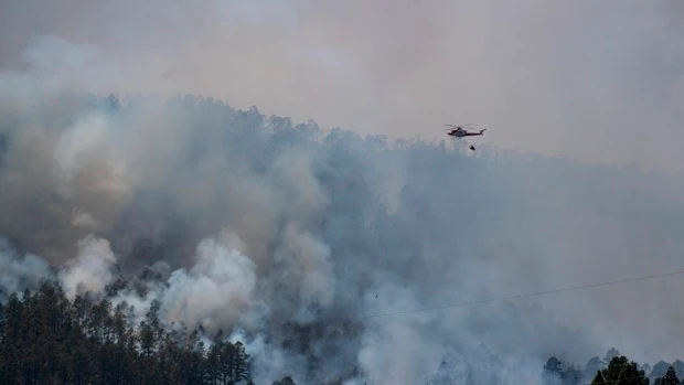 Declarado un incendio forestal en Arico, Tenerife, que avanza hacia el Parque Nacional del Teide