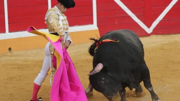 Diferentes conceptos toreros en la plaza de Añover de Tajo