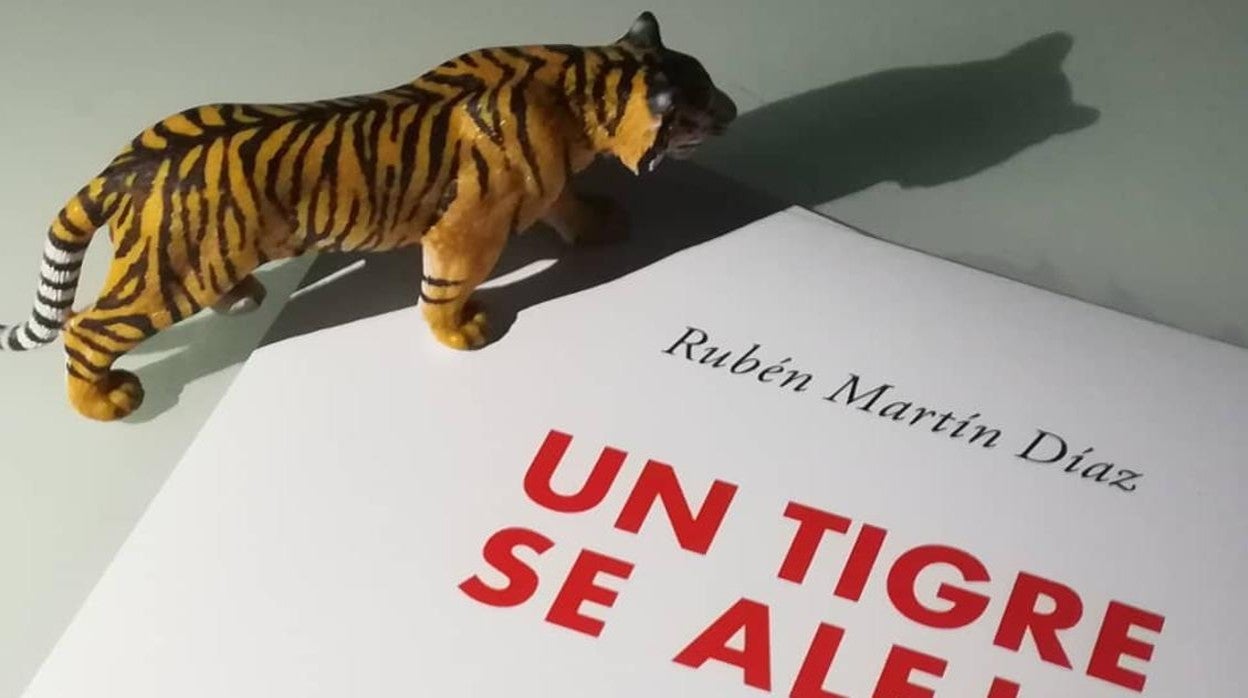 Mientras ‘Un tigre se aleja’, Rubén Martín vuelve a la poesía tras 5 años de silencio