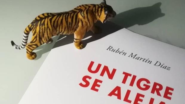 Mientras ‘Un tigre se aleja’, Rubén Martín vuelve a la poesía tras 5 años de silencio