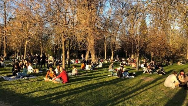 Reabren El Retiro y el resto de grandes parques de Madrid tras la evaluación de daños sufridos en el arbolado