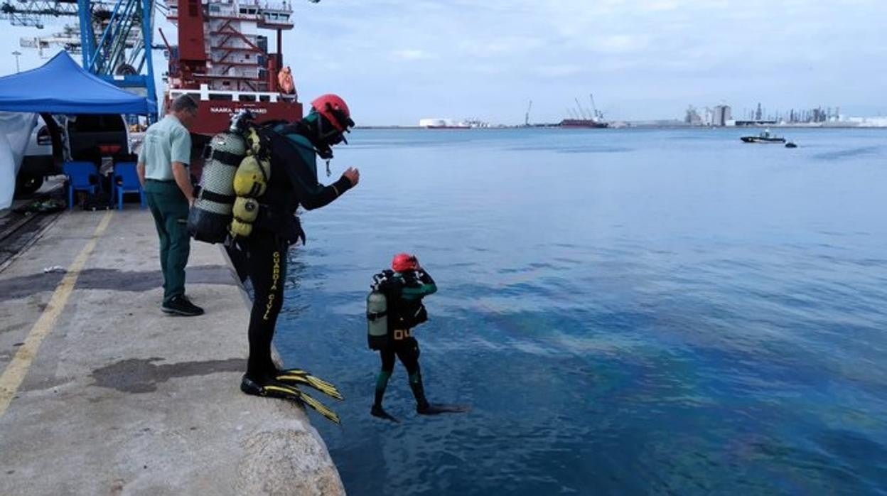 Imagen del dispositivo de búsqueda facilitada por el puerto de Castellón