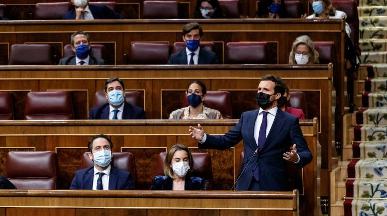 Casado interviene desde su escaño en un Pleno del Congreso de los Diputados