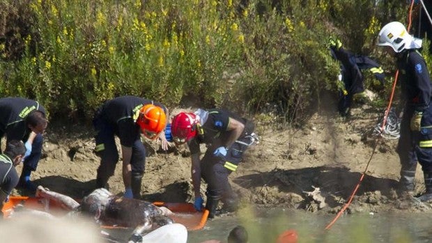 Muere ahogado un menor tutelado en la laguna de Vicálvaro