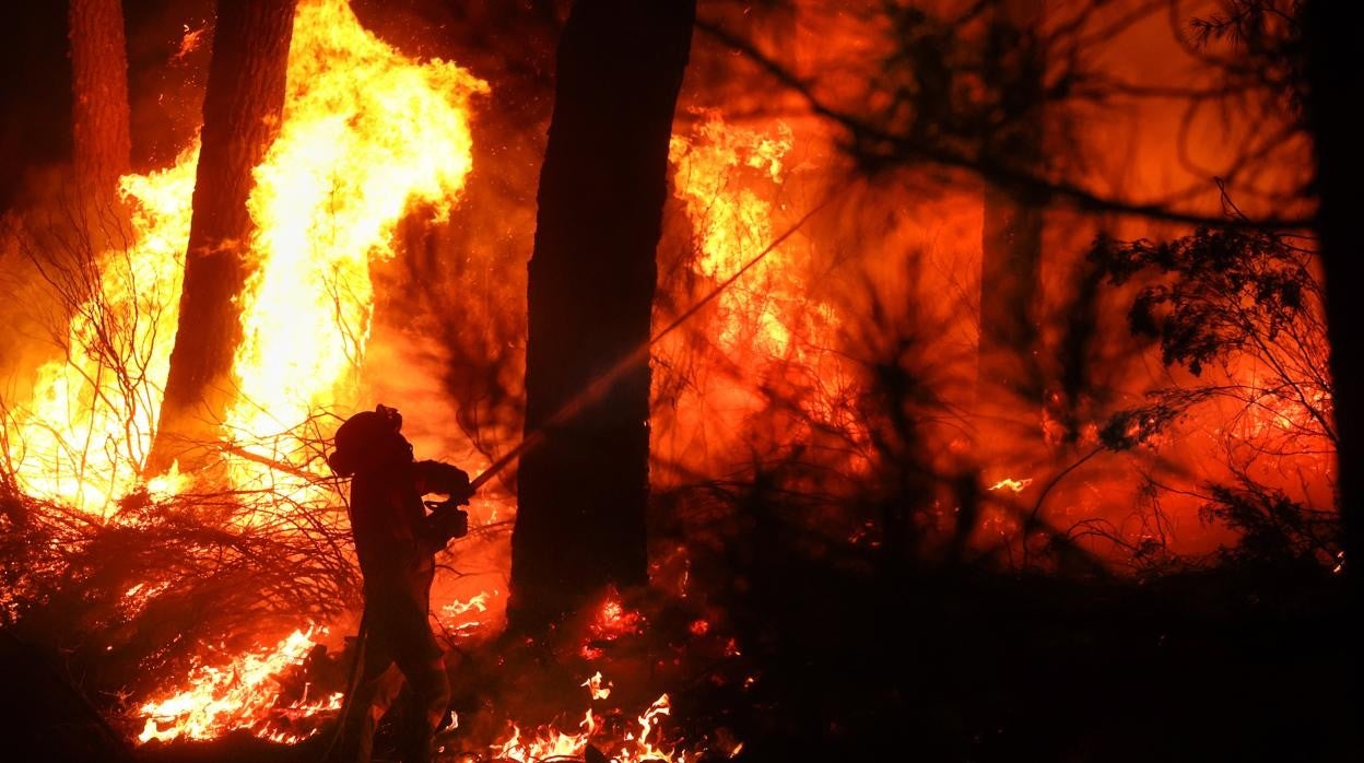 Incendio forestal en Serradilla de Aroyo (Salamanca)