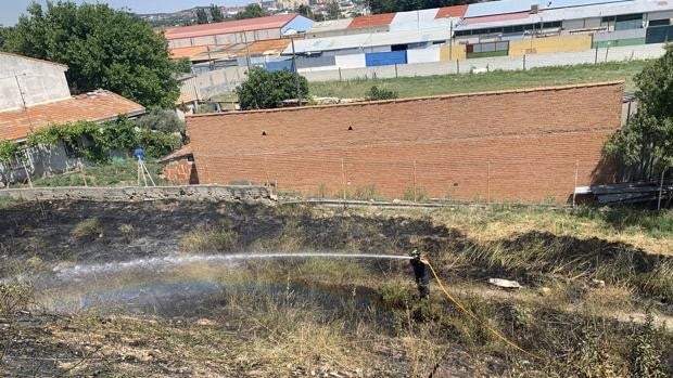 Un incendio devora pastos de la Cañada Real