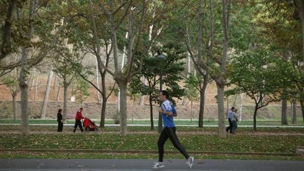 Zaragoza, donde la basura se va a convertir en un enorme bosque