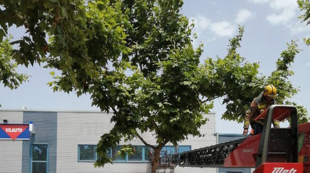 El taller de coches de Vilanova donde el bombero ha muerto este jueves