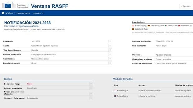 Denuncian la detección de residuos peligrosos en aguacates ecológicos de Marruecos con destino España