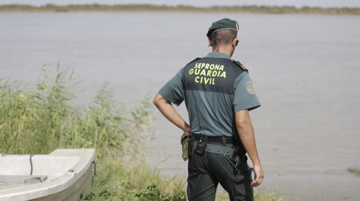 Un agente del Seprona de la Guardia Civil