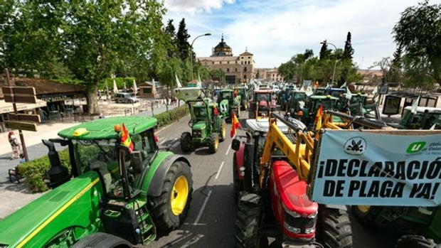 Medio centenar de tractores salen a la calle en Toledo para exigir ayudas al olivar