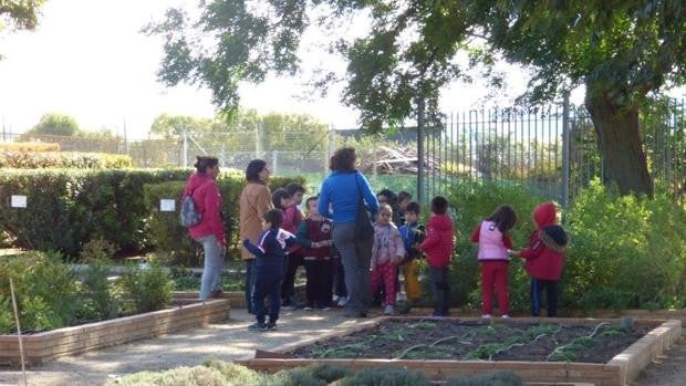 El próximo curso se prondrá en marcha una red provincial de huertos escolares ecológicos