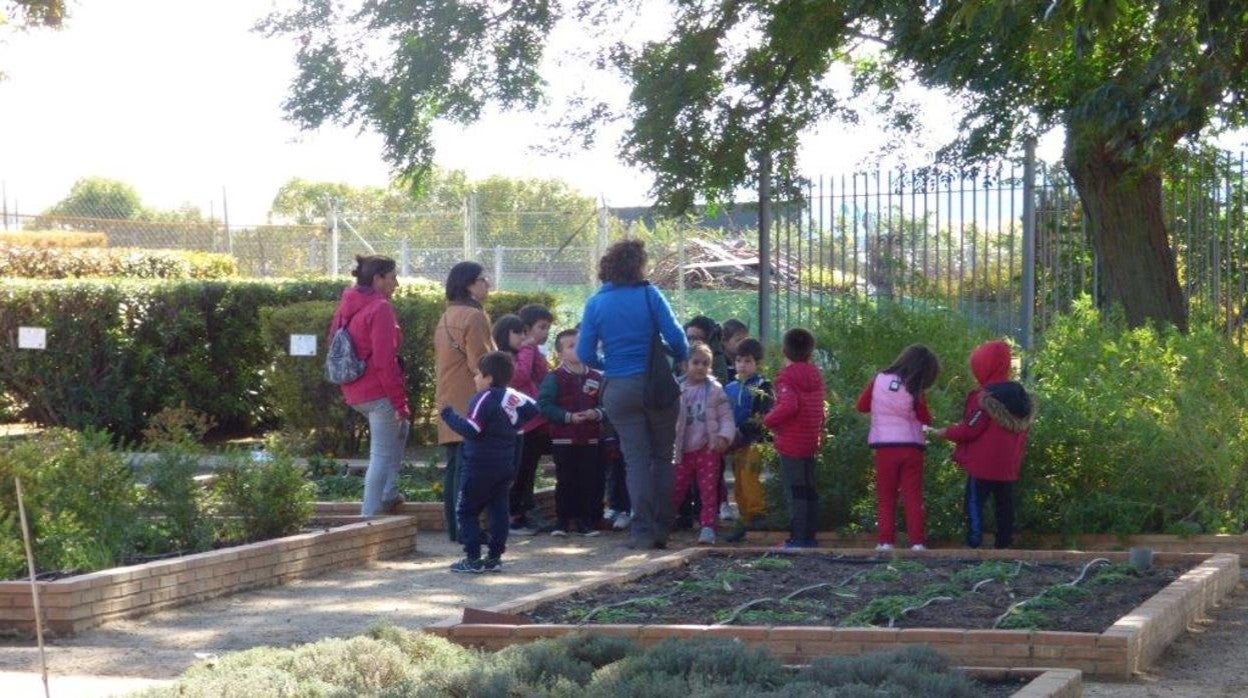 Escolares durante una visita a un vivero