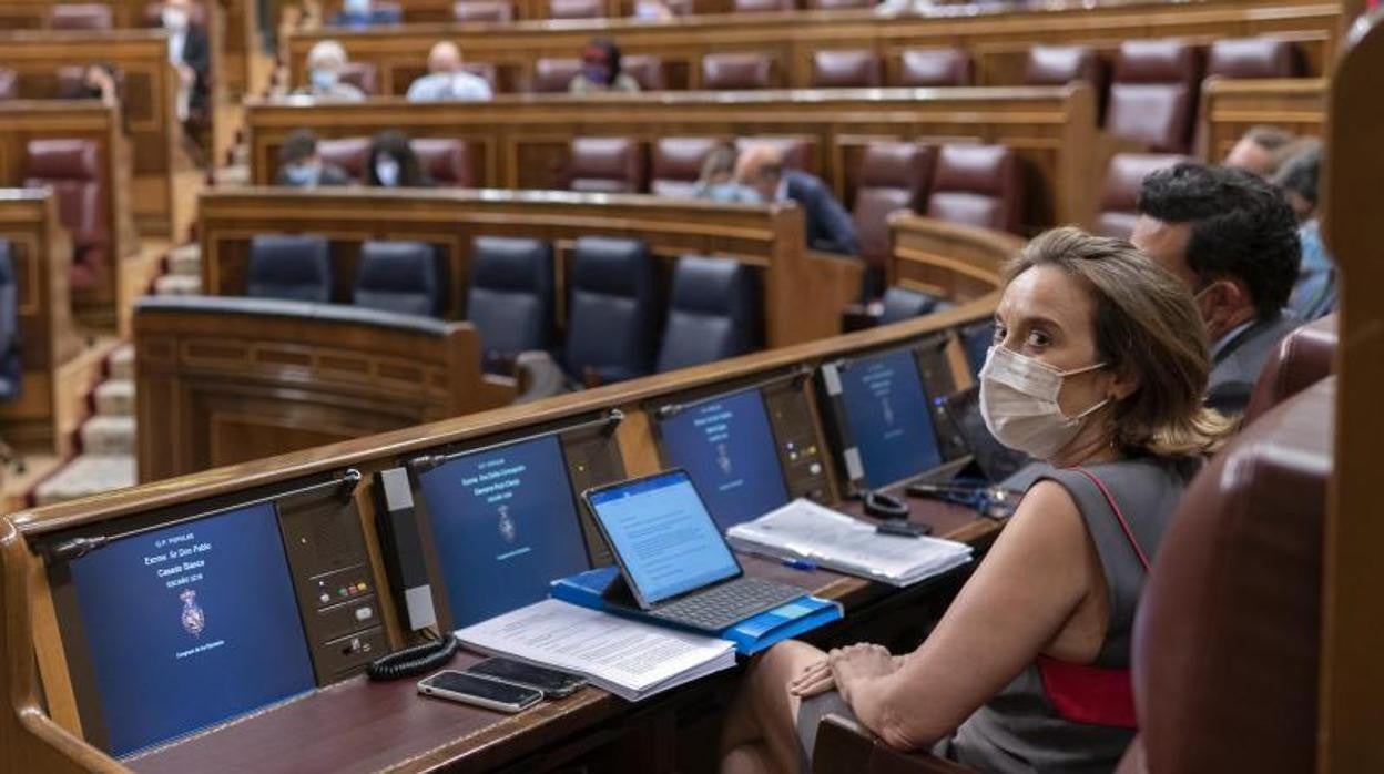 Sigue en vídeo el Pleno del Congreso