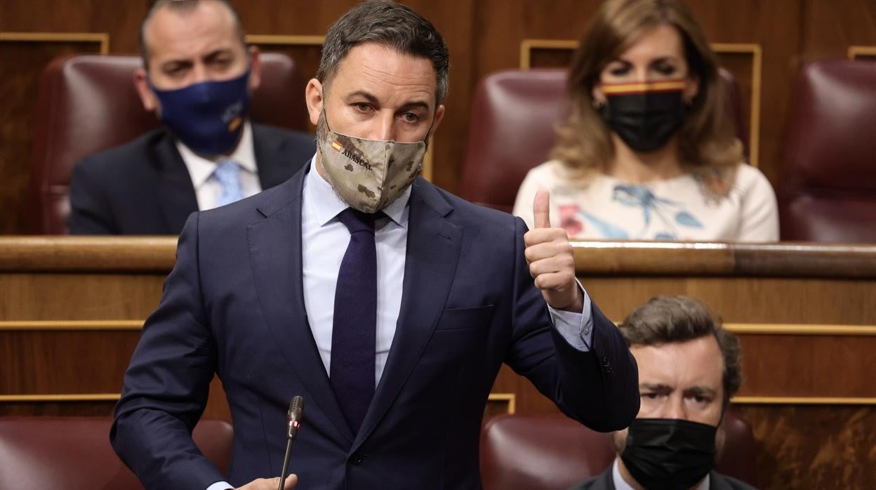 Santiago Abascal durante una sesión de control en el Congreso