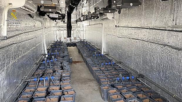 Seis detenidos en Zamora, Salamanca y Valladolid por cultivar marihuana en camiones