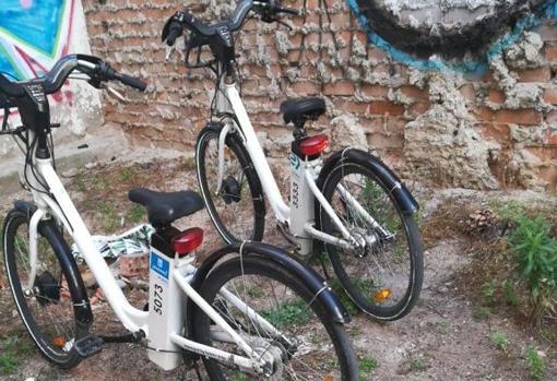 Varias bicis abandonadas en un desampado