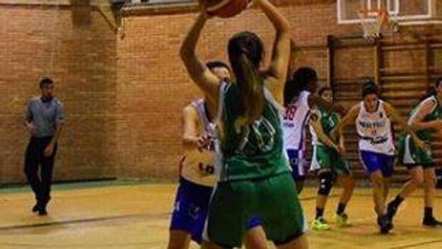 Brote en el CEI Baloncesto Toledo: algunas jugadoras llevaron el Covid a Gandía