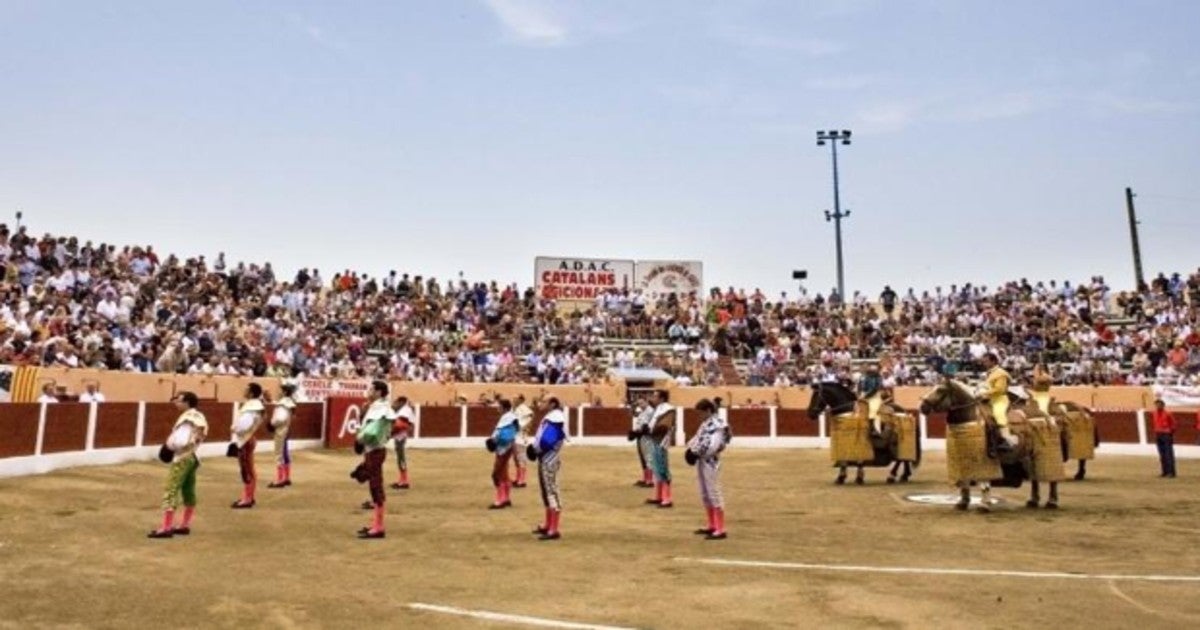 Toros, en Céret, en una imagen de archivo