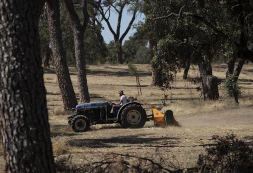 Zona próxima al Pinar de las Siete Hermanas