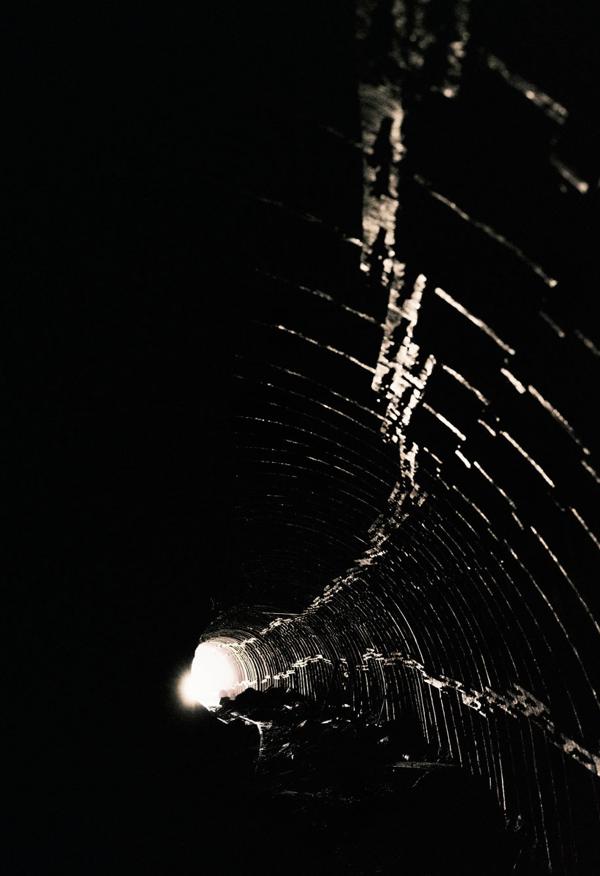 El túnel de entrada al pozo, el acceso a las riquezas de la Tierra, ahora abandonado y obstruido. El interior de una galería de la mina del grupo San Miguel