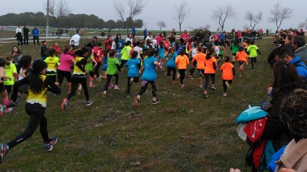 Más de 2.200 participantes en las escuelas deportivas promovidas por la Diputación