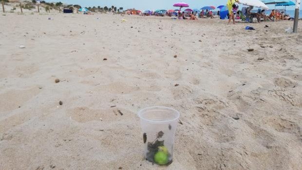 Vecinos de Daimús denuncian los botellones en la playa con jóvenes de localidades donde hay toque de queda