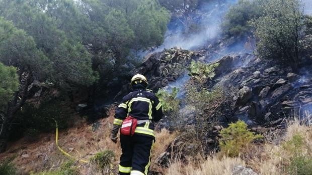 Detenido un pirómano que intentó provocar un incendio con seis focos en Barcelona