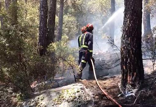 Los bomberos actúan en el incendio, el pasado domingo